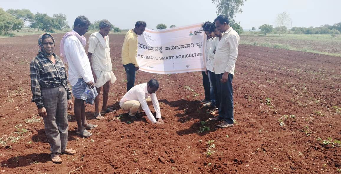 https://1ngo.sgp1.digitaloceanspaces.com/media/prawarda/Climate Smart agriculture_B1KRiQe.jpg